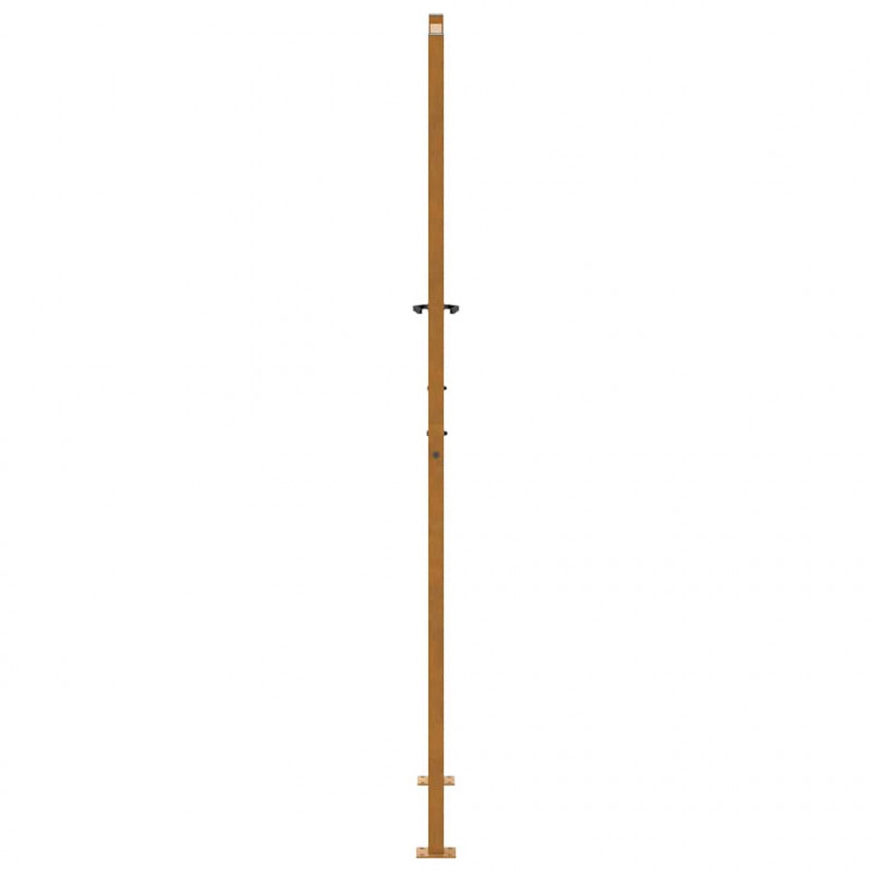 Brama ogrodowa 100x200 cm Stal nierdzewna Wzór fali
