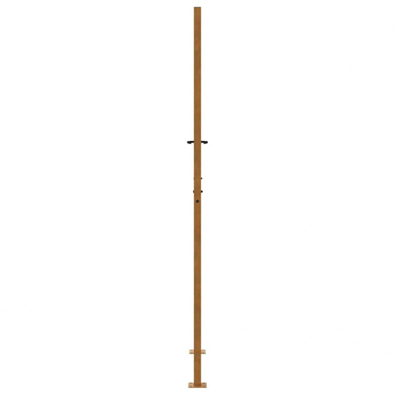 Brama ogrodowa 100x200 cm Stal nierdzewna Wzór śladu