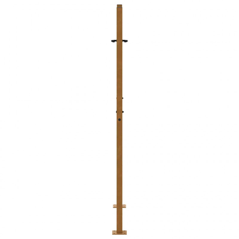 Brama ogrodowa 100x150 cm Stal nierdzewna Wzór płomienia