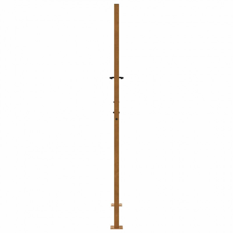 Brama ogrodowa 100x175 cm Stal nierdzewna Wzór płomienia