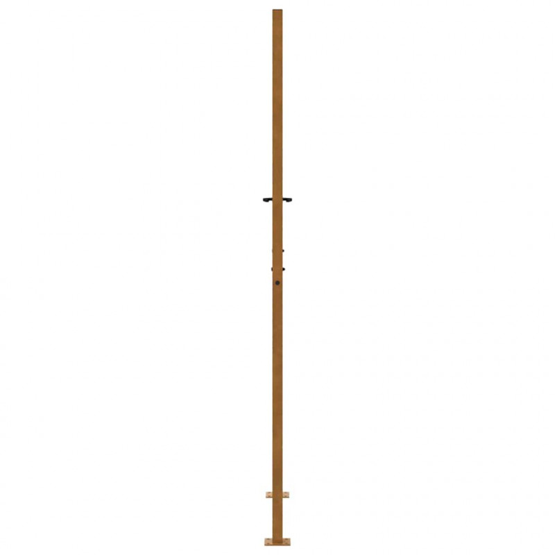 Brama ogrodowa 100x200 cm Stal nierdzewna Wzór płomienia