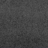 Dywanik wejściowy Inny Antracytowy i czarny 120 x 300 cm