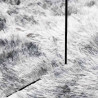 Dywan shaggy z długim włosiem, NAVARRA, srebrnoszary, 60x100 cm