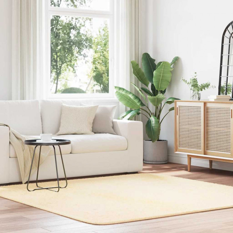 Dywan shaggy z długim włosiem, NAVARRA, kremowy, 200x200 cm