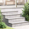 Stopień Prostokątny 2 pcs Srebrny 100 x 20 cm Aluminium