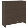 Szafka do przechowywania Brązowy 100 x 36 x 102 cm rattan