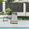 Leżak z poduszkami beżowy 55x200x25,5cm polirattan