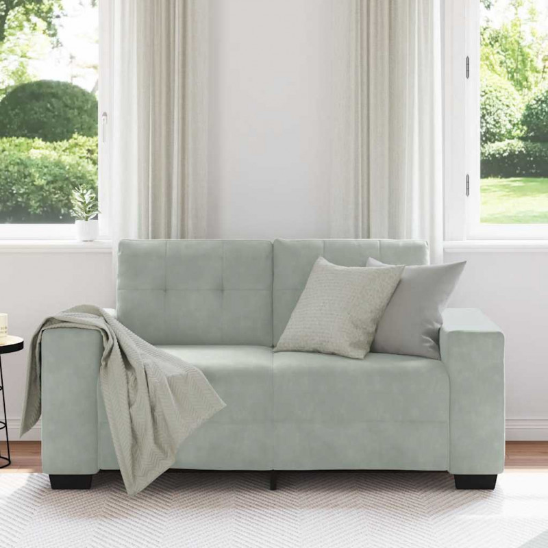 Sofa dwuosobowa Jasnoszara 160x77x82 cm Aksamit