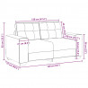 Sofa dwuosobowa Jasnoszara 160x77x82 cm Aksamit