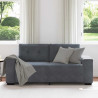 Sofa dwuosobowa Ciemnoszara 180x77x82 cm Aksamit