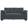 Sofa dwuosobowa Ciemnoszara 180x77x82 cm Aksamit