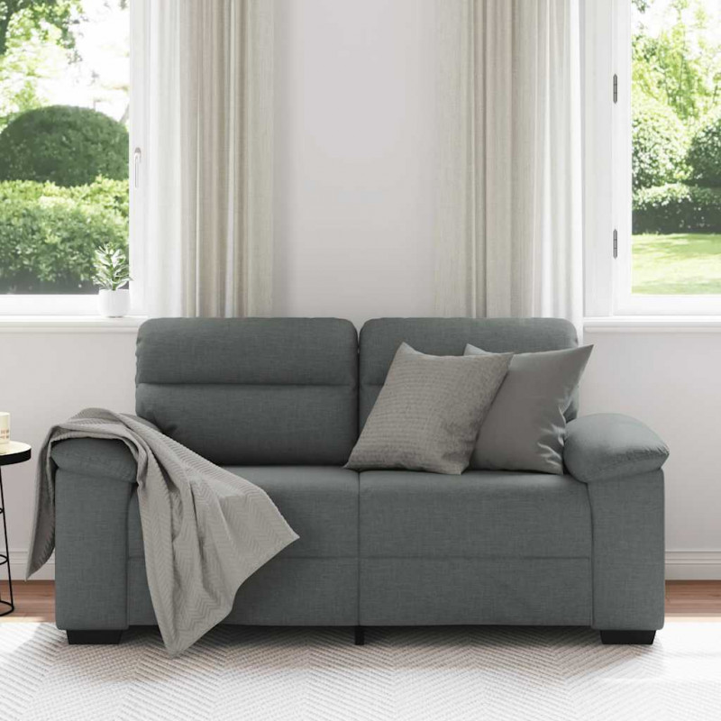 Sofa 2-osobowa Ciemnoszara 160x81x84 cm Tkanina