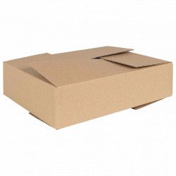Pudełko składane 50 pcs Naturalny 40 x 30 x 10 cm Tektura