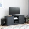 Szafka pod telewizor, antracytowa, 99x39x44 cm, stalowa