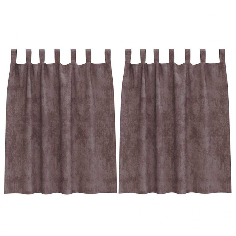 Zasłony z weluru z zasłonami 2 pcs Brązowy 140 x 140 cm Aksamit