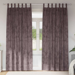 Zasłony z weluru z zasłonami 2 pcs Brązowy 260 x 140 cm Aksamit