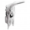 Czaszka byka Srebrny 34 x 13 x 53 cm Aluminium
