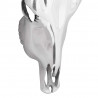 Czaszka byka Srebrny 34 x 13 x 53 cm Aluminium