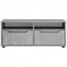 Szafka RTV "VISNES" Betonowa Szara 100x40x38 cm Drewno klejone