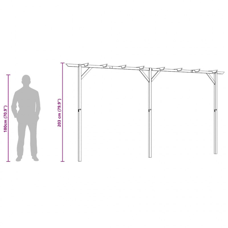 Pergola ogrodowa, 410 x 40 x 203 cm, drewno