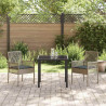Krzesło Ogrodowe 2 pcs Szary 55 x 53 x 85 cm polirattan