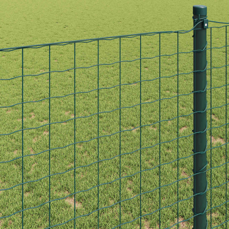 Ogrodzenie Euro Zielony 0,8 x 10 m Żelazo pokryte PVC