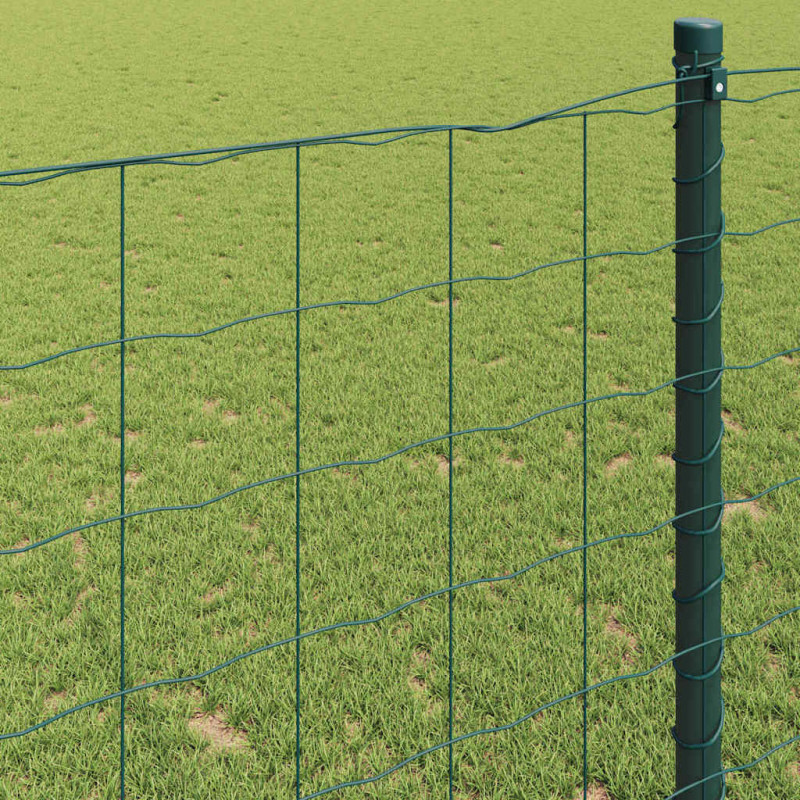 Ogrodzenie Euro Zielony 0,6 x 50 m Żelazo pokryte PVC