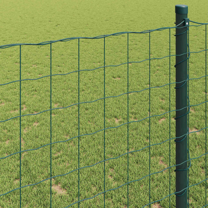Ogrodzenie Euro Zielony 1,6 x 10 m Żelazo pokryte PVC