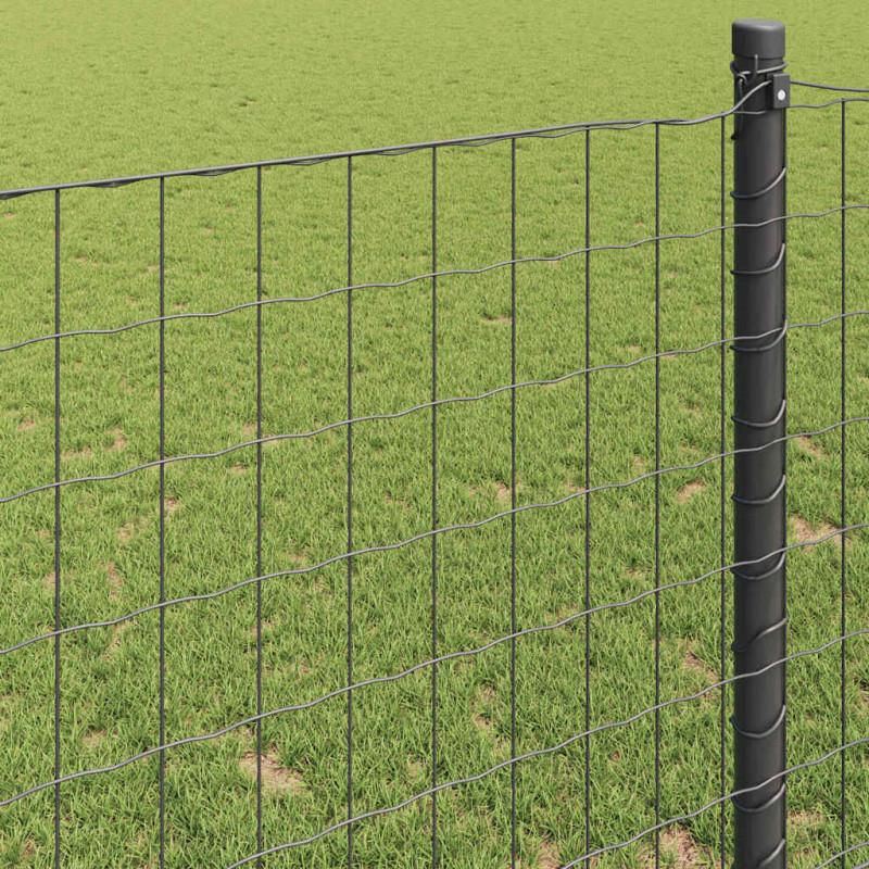 Ogrodzenie Euro Szary 1,2 x 10 m Żelazo pokryte PVC