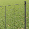 Ogrodzenie Euro Szary 1,6 x 10 m Żelazo pokryte PVC