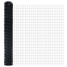 Ogrodzenie Euro Czarny 1,6 x 10 m Żelazo pokryte PVC
