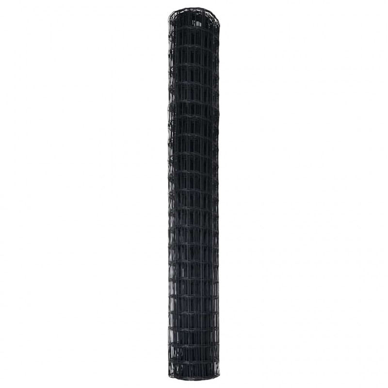 Ogrodzenie Euro Czarny 1,6 x 10 m Żelazo pokryte PVC