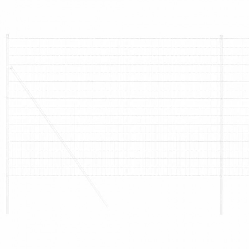 Ogrodzenie Euro 1,6 x 10 m Żelazo pokryte PVC