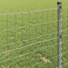 Ogrodzenie Euro 0,6 x 25 m Żelazo pokryte PVC