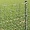 Ogrodzenie Euro 0,4 x 50 m Żelazo pokryte PVC