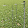 Ogrodzenie Euro 0,4 x 50 m Żelazo pokryte PVC