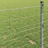 Ogrodzenie Euro 0,6 x 50 m Żelazo pokryte PVC