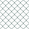 Ogrodzenie łańcuchowe Zielony 10 x 1,6 m Stal