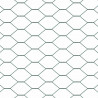 Ogrodzenie heksagonalne Zielony 1 x 50 m PVC