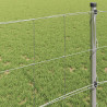 Ogrodzenie pastwiskowe Srebrny 50 x 0,8 m Stal galwanizowana