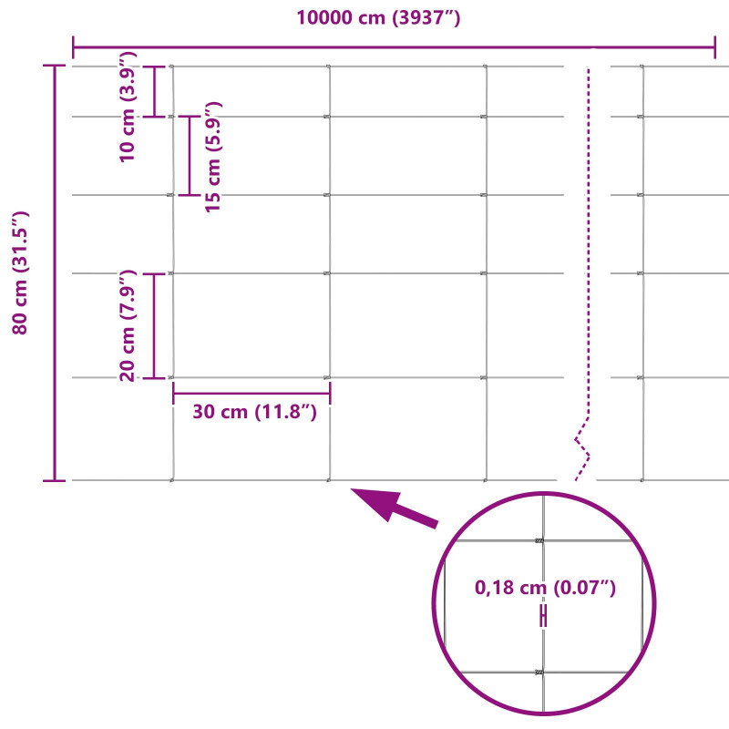 Ogrodzenie pastwiskowe Srebrny 100 x 0,8 m Stal galwanizowana
