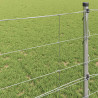 Ogrodzenie pastwiskowe Srebrny 100 x 0,8 m Stal galwanizowana
