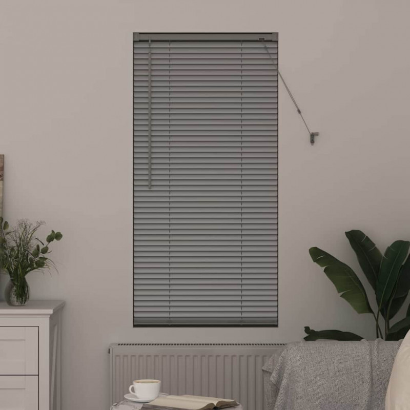 Żaluzje weneckie Srebrny 175 x 55 cm Aluminium
