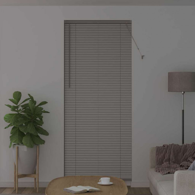 Żaluzje weneckie Srebrny 220 x 95 cm Aluminium