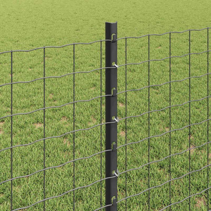 Słupek ogrodzeniowy. 11 pcs Szary 80 cm Stal