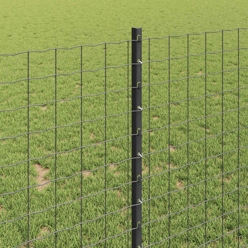 Słupek ogrodzeniowy. 11 pcs Szary 100 cm Stal