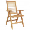 Krzesła ogrodowe 2 pcs Brązowy 52 x 64.5 x 108 cm