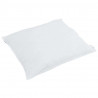 Poduszka z poduszką 2 pcs Biały 60 x 60 cm Pióra