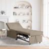 Rozkładana sofa Ciemnoszary 194 x 67 x 82 cm Mikrofibra