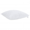 Poduszka z poduszką 2 pcs Biały 60 x 60 cm bawełna